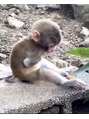 マハロ(mahalo)&nbsp;強く逞しく生きているニーナちゃん。可愛すぎです(^^)