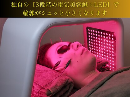 やなけん 亀戸店の写真