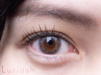 ルースラッシュ 赤坂店(Luzlash)の写真/話題の次世代まつ毛パーマ【パリジェンヌラッシュリフト☆】自まつ毛を生かし、ナチュラルな美まつげに♪