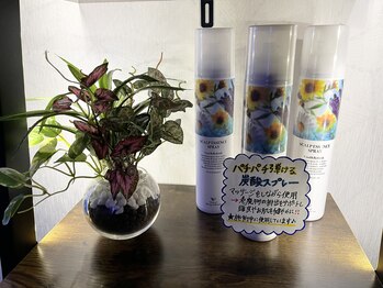 癒し~ぷ 高知帯屋町店/炭酸スプレーは全コース無料☆