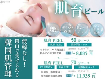 アポシェ(apoche)/岡山で受ける韓国肌管理