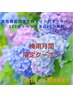 ★梅雨月間限定★男性機能回復アロマ120分＋ヘッドスパ10分無料