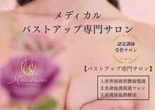 ミネアヴァリー(Mine A Valley)