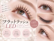 アイラッシュ モレ(Molek)の雰囲気(パーマ×LEDエクステ大人気です☆フラットラッシュで存在感◎)