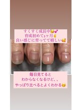 カンナ(Kanna)/6720円→5500円