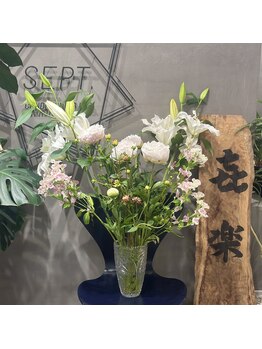 セプトきらく鍼灸整体院(Sept.)/今週のお花!