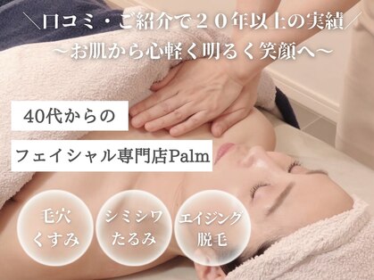 パーム(Palm)の写真