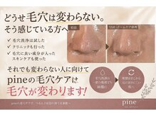 ピネ(pine)の雰囲気(元に戻らない、変わっていく毛穴を実感しませんか?(^ ^))