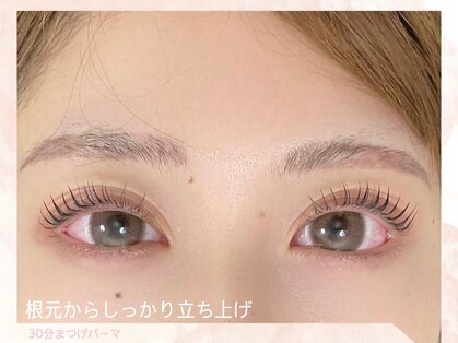 ウチニィ(uchiny)の写真