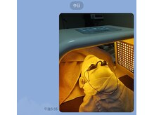 ハルリ(Haruri)/韓国肌管理次世代LED