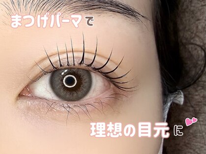 マドンナリリー(Madonna Lily)の写真