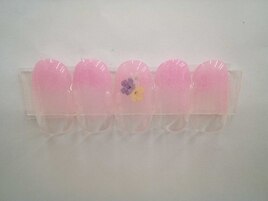 季節の定額3900円コ―ス