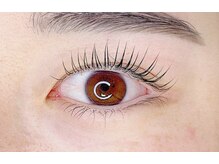 ヴィフ(Vif)/パリジェンヌラッシュリフト