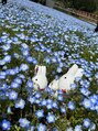 ココア整体 岐阜店(cocoa整体) 好きな花はネモフィラです!