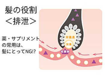 サロン ド エステティック ルチア 東京店/老廃物の蓄積は抜け毛の原因に