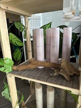 オハナ 奥州店/店長オススメ！