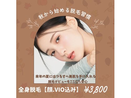 やどかりの写真