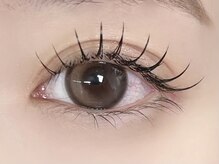 ネリネ 博多(nerine)/フラットラッシュ100本