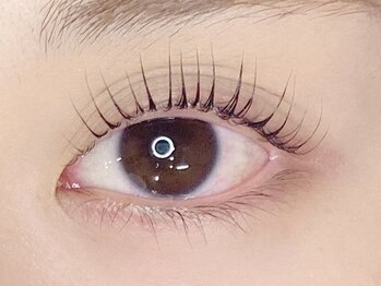 プラスグラッツ 恵比寿(+glatt)/立ち上げストレート 7,700円