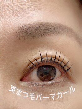 アイラッシュサロン ブラン 西新井店(Eyelash salon Blanc)/まつげパーマ　Uカール