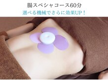 リープル(Leapl)/[腸もみ]腸もみオプション施術2