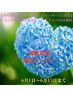★梅雨月間限定★男性機能回復120分＆自律神経整体＋ヘッドスパ10分