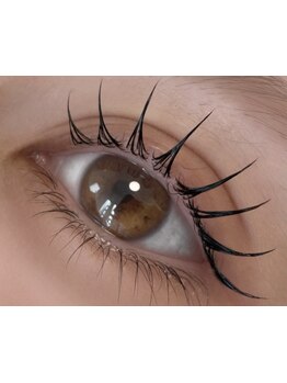 初めての方にオススメ