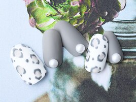 クールレオパード