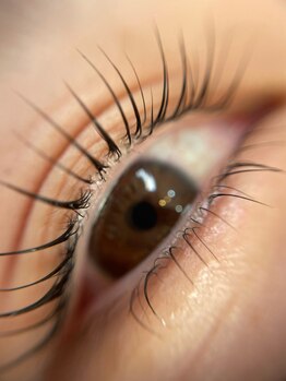 シュウ バイ プペ(SYV by pupe)/ラッシュリフト