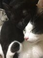 ホワイトニングショップ 品川店 実家では猫ちゃん2匹飼ってます。痒くなるけど大好きだ…