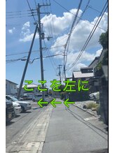 パフューム(perfume)/