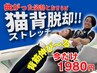 チラシを見た方はこちら！《猫背脱却ストレッチ》◎初回体験￥1980