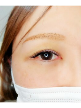 ルピナス(Lupinus)/LEDボリュームラッシュ500本