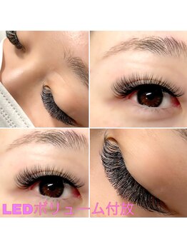 ティーイー(TE)/