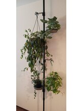 リラクロ 学芸大学(relacro)/毎月植物が増えていきます！