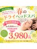 5・6月限定♪自律神経を整える極上ドライヘッドスパ