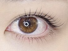 プラスグラッツ 恵比寿(+glatt)/立ち上げカール上下　11,000円