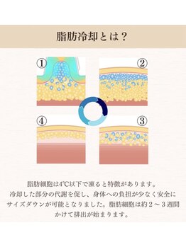 ルキア(LUKIA)/脂肪は4度で凍ります。