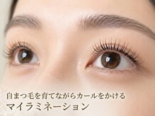 バニラ(VANILLE)の雰囲気(まつ毛パーマ/マツエク/眉毛/アイラッシュ/アイブロウ/韓国風)