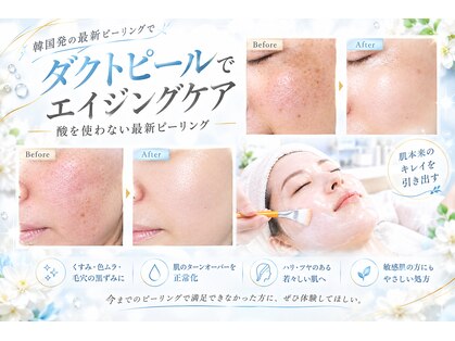 アオイ(Aoi)の写真