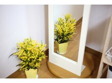 ヨサパーク カムイ 亀戸店(YOSA PARK KAMUY)/植物たちの癒しパワー充満！