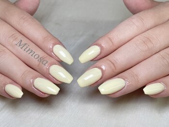 ミモザ 吉祥寺(Mimosa)/