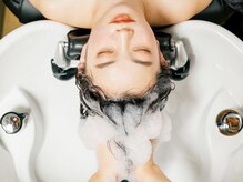 ニコ 清澄白河(nico)