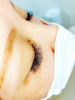 ルピナス(Lupinus)/LEDボリュームラッシュ500本