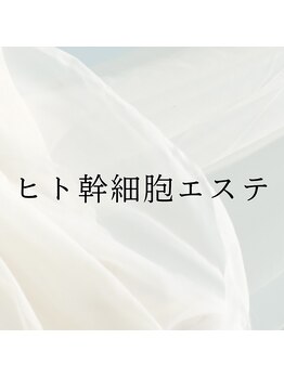 アーキ(ARCHI)/ヒト幹細胞導入エステ