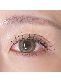 レプス(Lepus)/フラットラッシュ140本