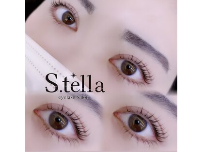 ステラ(S.tella)の写真