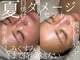 ルーツリー(Rootree)の写真