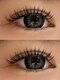 マヴィアイラッシュ バイヘッドライト 水戸駅南店(Ma Vie eyelash by HEADLIGHT)の写真/【#バインドロック】抜群のキープ力でモチ◎のまつ毛エクステ！程よいボリューム感＆束感で大きな瞳に♪