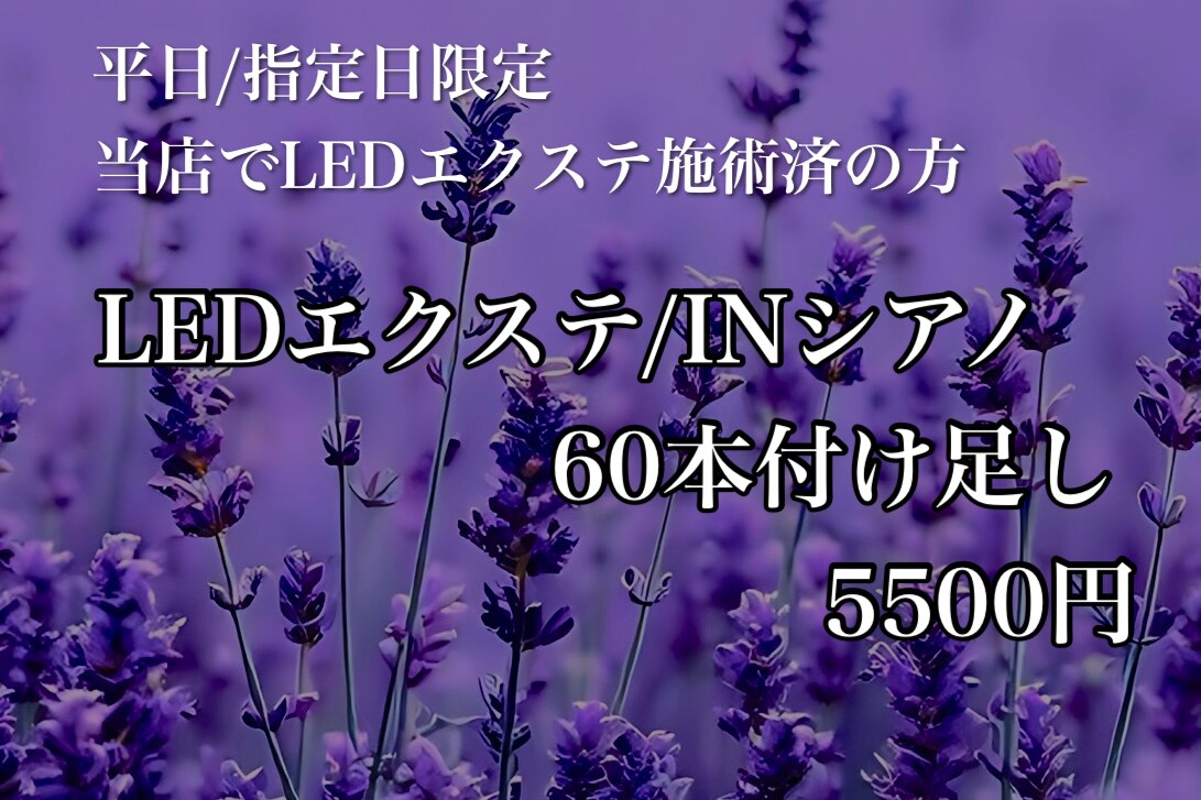 [4/30の17時まで来店]デザイン決まってる方/LEDマツエク上60本5500円